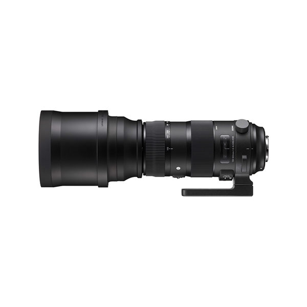 SIGMA 150-600mm F5-6.3 ニコン用　フィルター付！